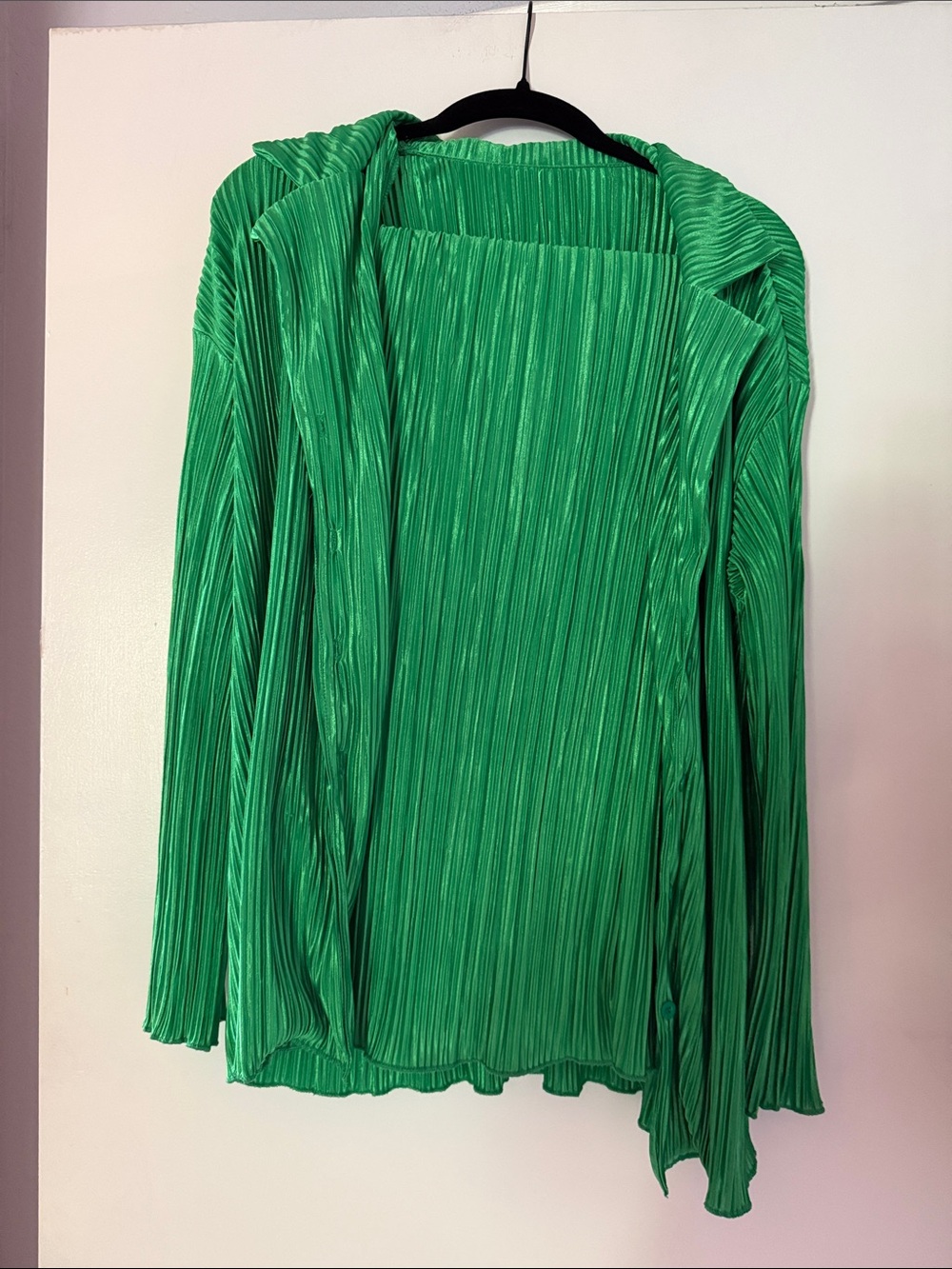 Green Women's Pleated pants set - Picture 4 of 4